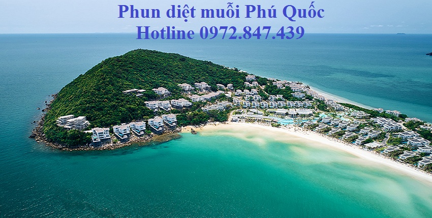 Phun thuốc diệt muỗi tận gốc tại Phú Quốc