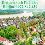 Phun thuốc diệt muỗi tận gốc tỉnh Phú Thọ