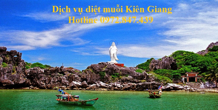 Đơn vị diệt muỗi tận gốc Kiên Giang