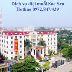 Dịch vụ diệt muỗi huyện Sóc Sơn