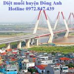 Dịch vụ diệt muỗi huyện Đông Anh