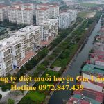 Dịch vụ diệt muỗi tận gốc huyện Gia Lâm