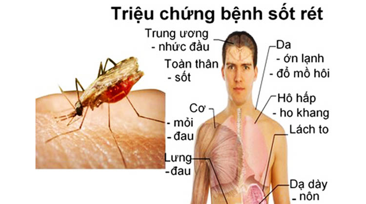 diệt muỗi tại Hưng Yên