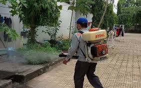 Công ty diệt muỗi tại Tp Hồ Chí Minh