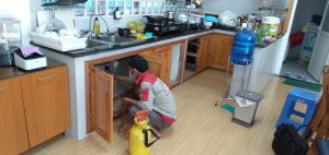 Dịch vụ diệt gián tại Hưng Yên