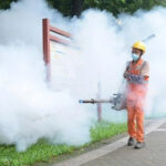 Chikungunya