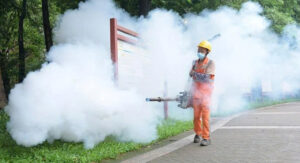 Chikungunya