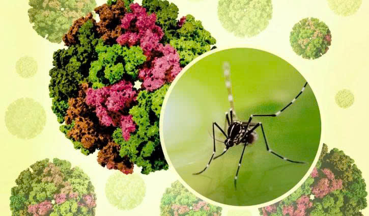 Chikungunya
