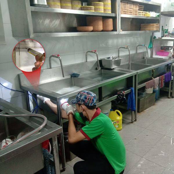 diệt gián đức cho chung cư